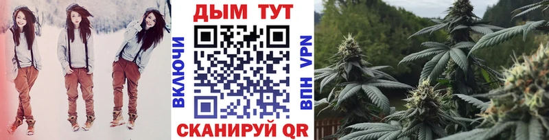 Конопля семена Купить закладки Тобольск